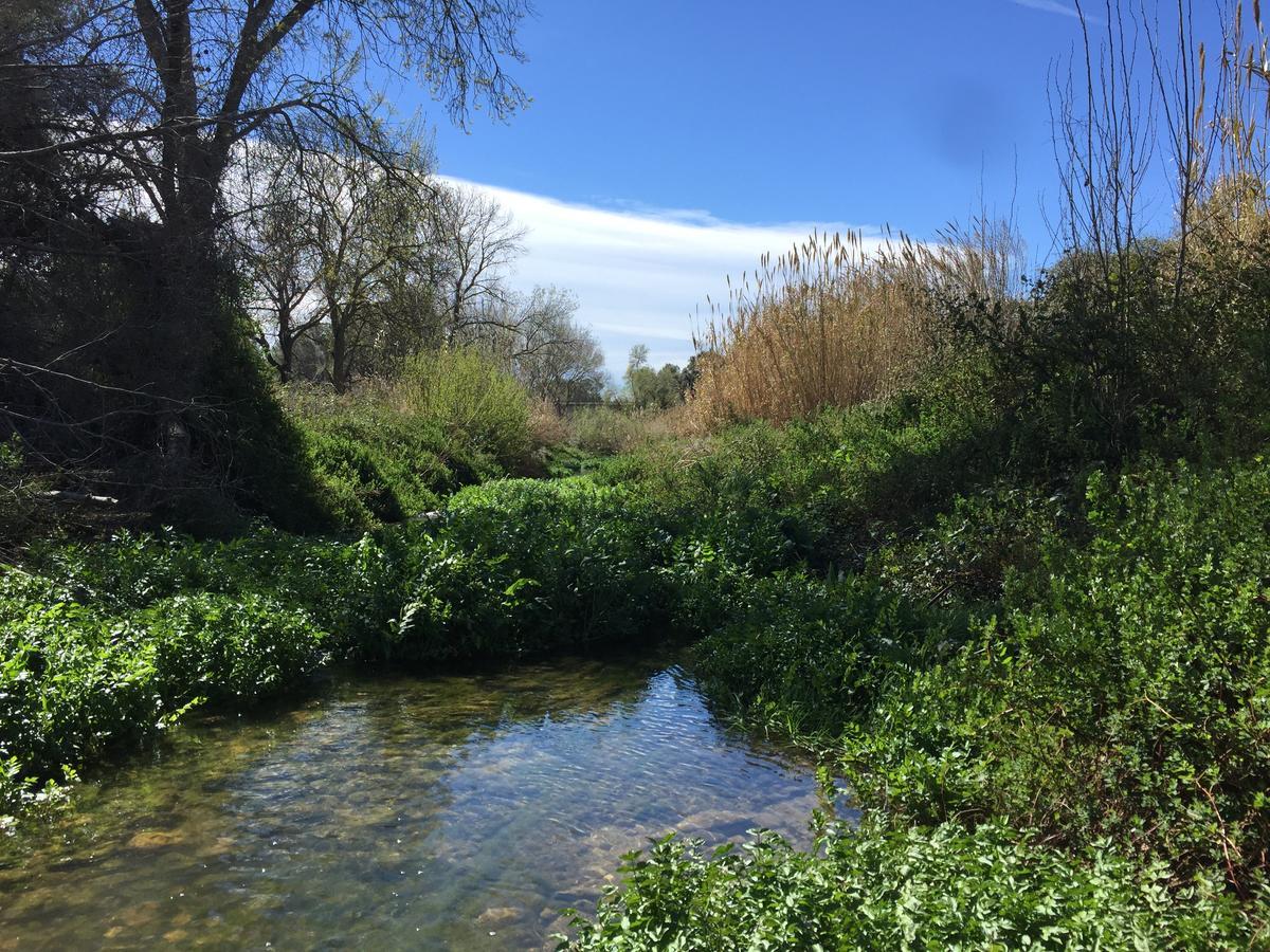 Cal Calaf Βίλα Vilardida Εξωτερικό φωτογραφία